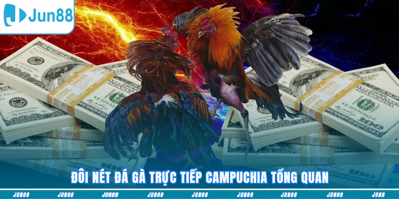 Đôi nét đá gà trực tiếp Campuchia tổng quan