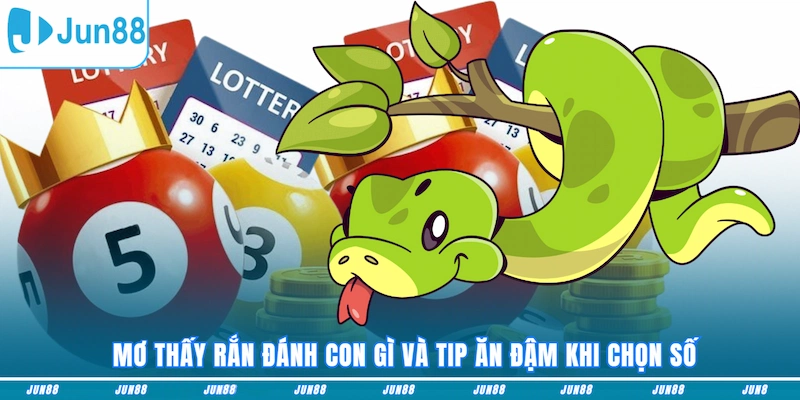 Mơ thấy rắn đánh con gì và tip ăn đậm khi chọn số