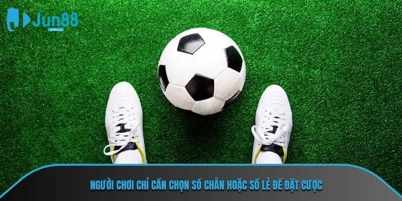 Người chơi chỉ cần chọn số chẵn hoặc số lẻ để đặt cược